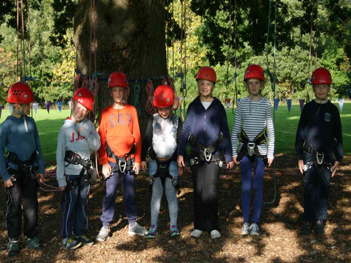 Goodleaf Tree Climbing picture gallery